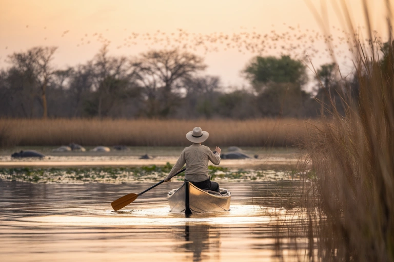 Solo Travel in Botswana: Must-Visit Places + Tips